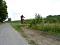 freddykausd125sx