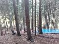 Klicke auf die Grafik für eine vergrößerte Ansicht

Name: IMG-20161021-WA0004.jpg
Ansichten: 159
Größe: 91,4 KB
ID: 905759
