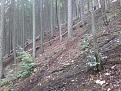 Klicke auf die Grafik für eine vergrößerte Ansicht

Name: IMG-20161021-WA0002.jpg
Ansichten: 196
Größe: 115,5 KB
ID: 905761